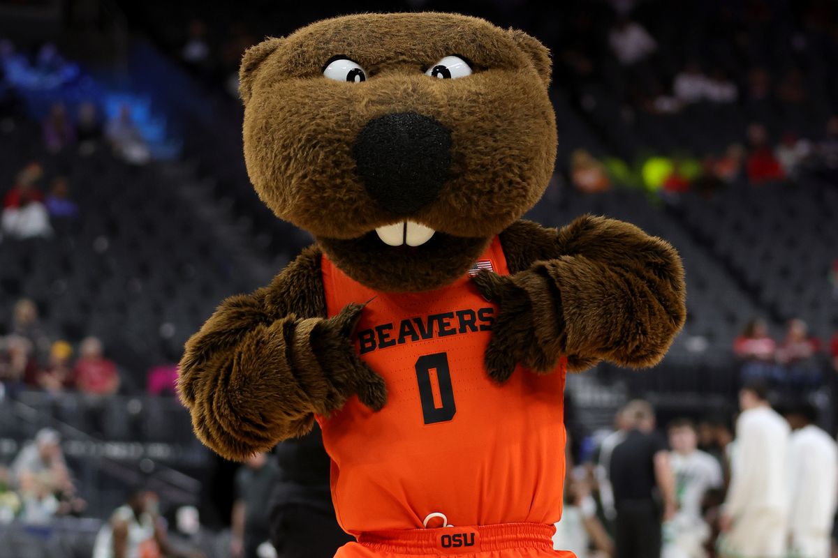 My Journey through Oregon State’s Post-Bacc Computer Science&nbsp;Degree