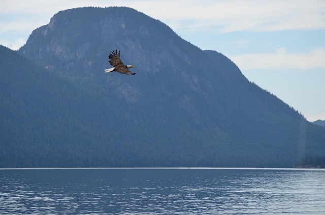 Net Worth Update: June&nbsp;2025