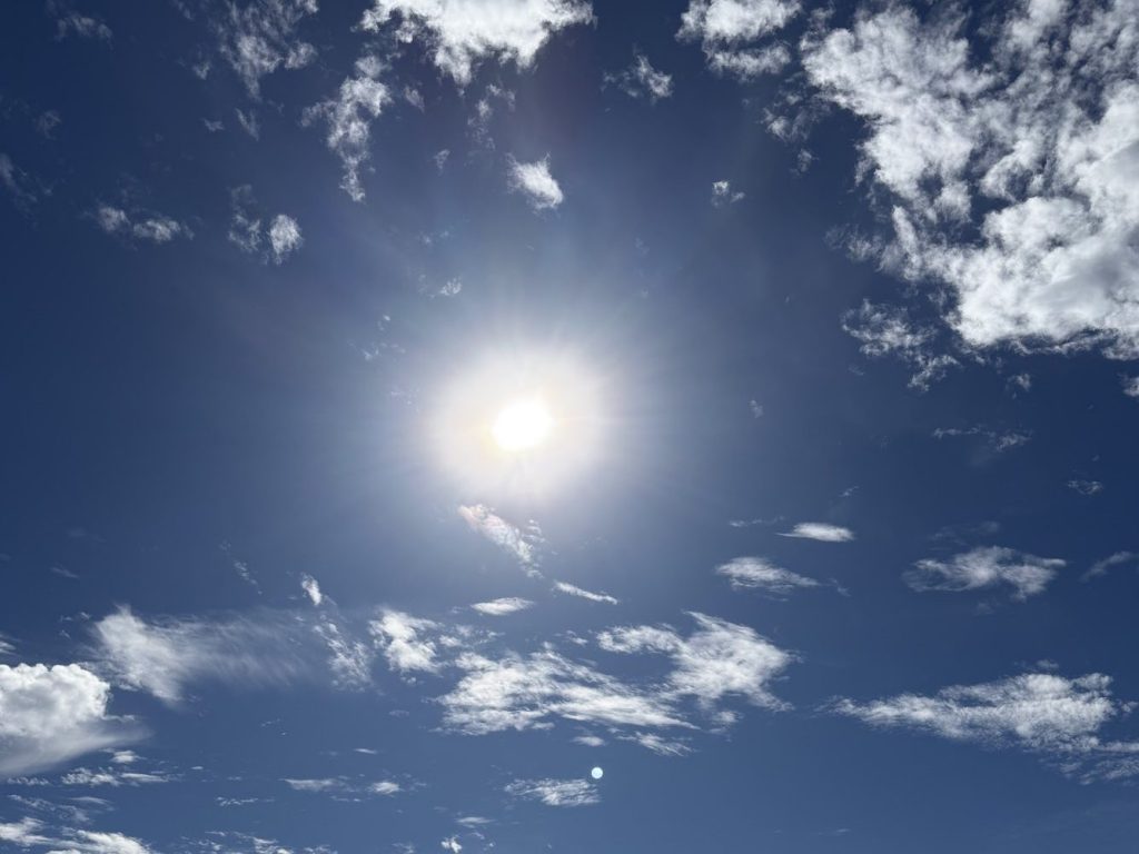 Race Report: Chilly Willy Half&nbsp;Marathon