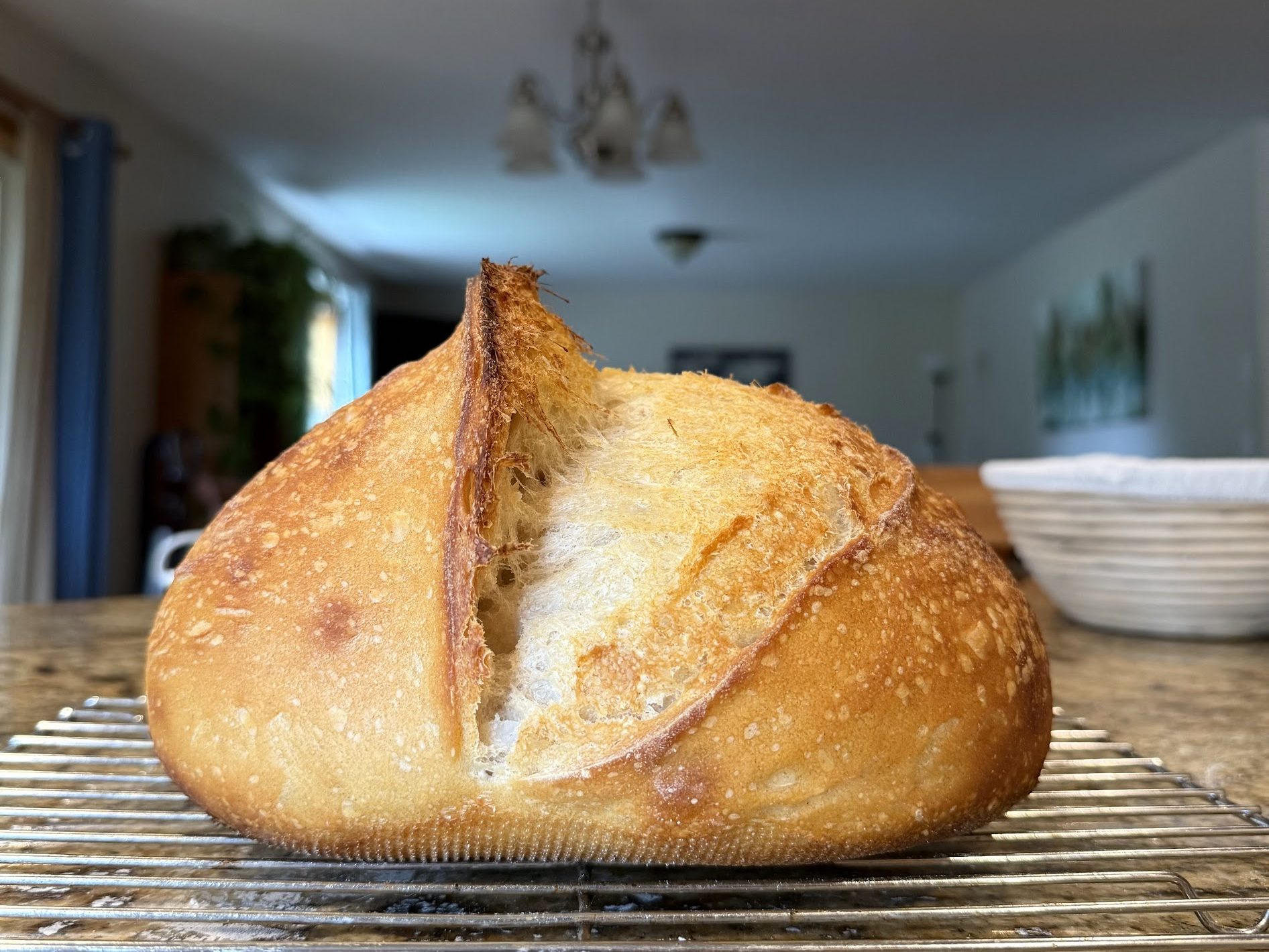 Recipe Roundup: February 2026